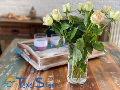 Holiday house Texelstern Ferienhaus - Features photo 12