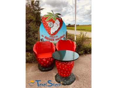 Holiday house Texelstern Ferienhaus - Environment photo 23