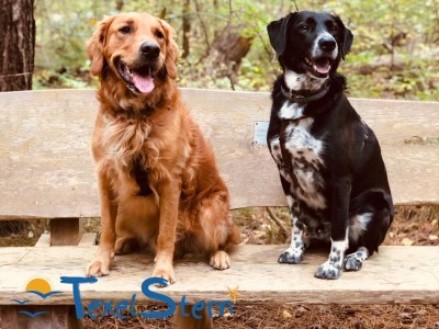 Holiday house Texelstern Ferienhaus - Environment photo 24