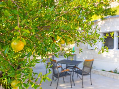 Holiday house Ferienhaus Giran bei Baška Voda - Outdoor photo 17