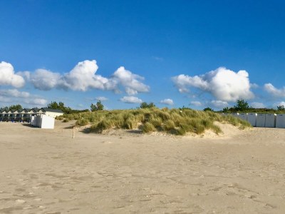 Holiday house De Branding - Environment photo 19