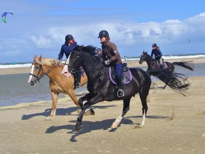 Holiday house De Branding - Environment photo 22