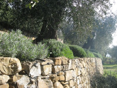 Holiday house Casa Liguria - Outdoor photo 14