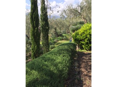 Holiday house Casa Liguria - Outdoor photo 16