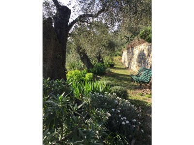 Holiday house Casa Liguria - Outdoor photo 17