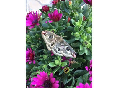 Holiday house Casa Liguria - Outdoor photo 18