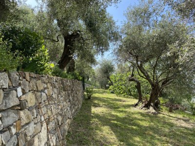 Holiday house Casa Liguria - Outdoor photo 19