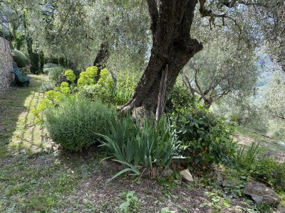 Holiday house Casa Liguria - Outdoor photo 21