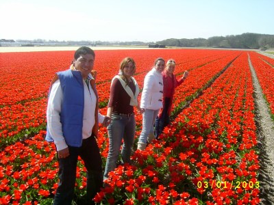 Holiday apartment Düne   &   gratis Fahrräder - Environment photo 19