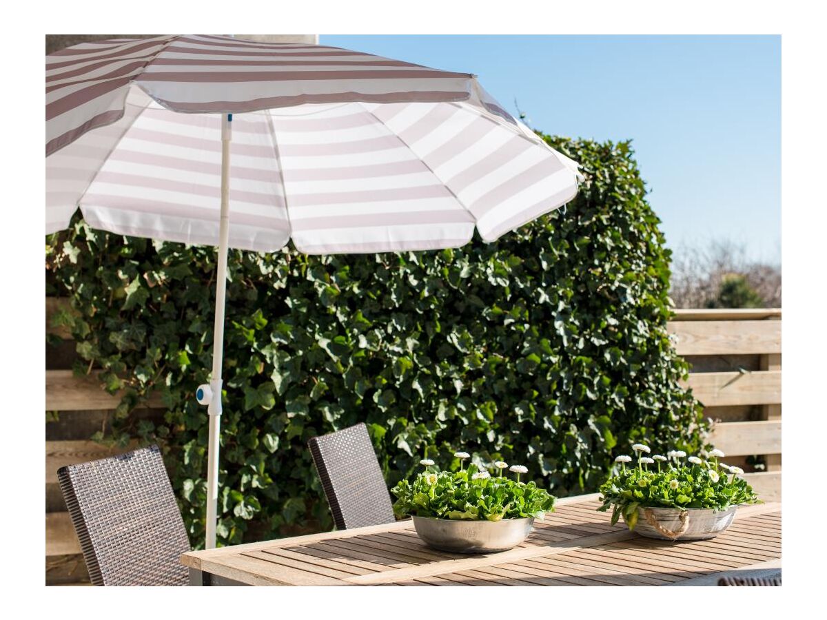 Holiday apartment Strandburg 4 Ameland - Outdoor photo 3