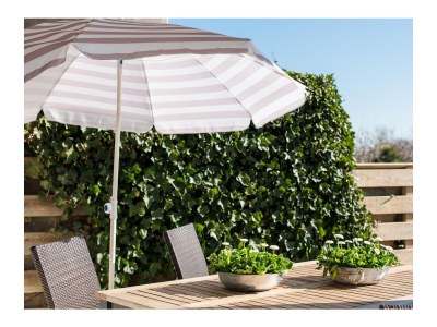 Holiday apartment Strandburg 4 Ameland - Outdoor photo 3