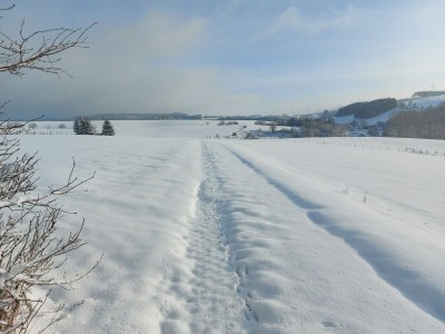 Holiday house Neuendorf Elegant Nature Stay - Outdoor photo 7