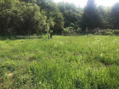 Holiday house Neuendorf Elegant Nature Stay - Environment photo 33