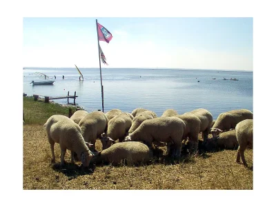 Holiday apartment No title - Environment photo 15