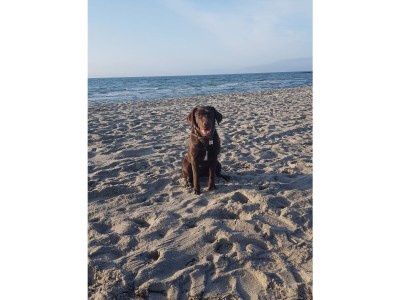 Holiday apartment No title - Environment photo 20