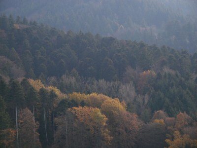 Holiday apartment House of the Painter Cloud two - Outdoor photo 6