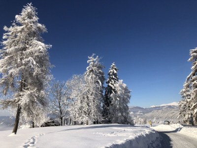 Holiday apartment No title - Outdoor photo 31