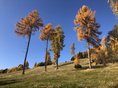 Holiday apartment No title - Document photo 44