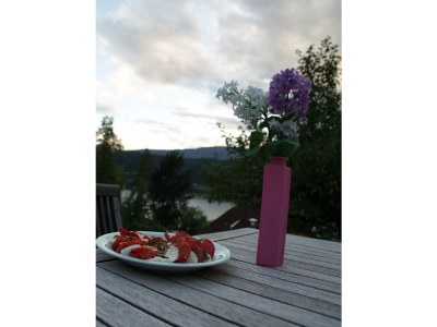 Holiday apartment Villa Seeblick OG - Outdoor photo 13