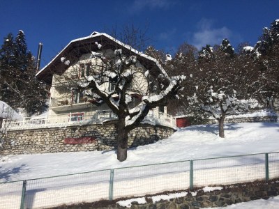 Holiday apartment Villa Seeblick OG - Outdoor photo 15