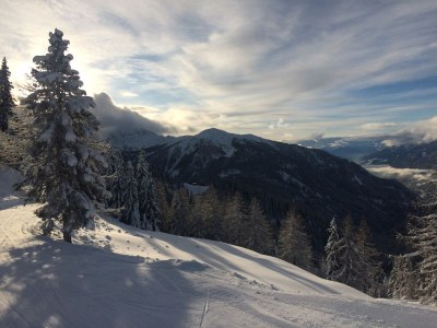 Holiday apartment Villa Seeblick OG - Outdoor photo 22