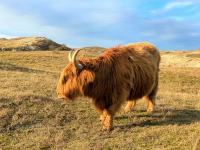 Holiday house Holiday Home Boulevard - Environment photo 26