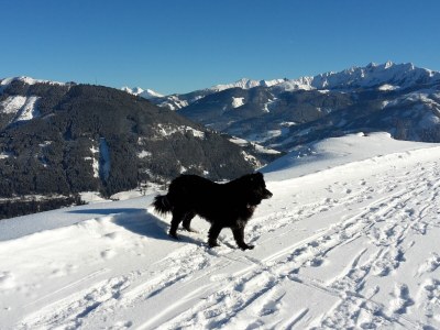 Holiday apartment Wilhelmina 2 - Environment photo 14