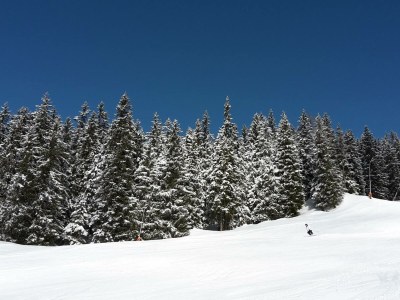 Holiday apartment Wilhelmina 2 - Environment photo 20