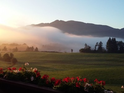 Holiday apartment Seeblick Landhaus Wendelin - Outdoor photo 4