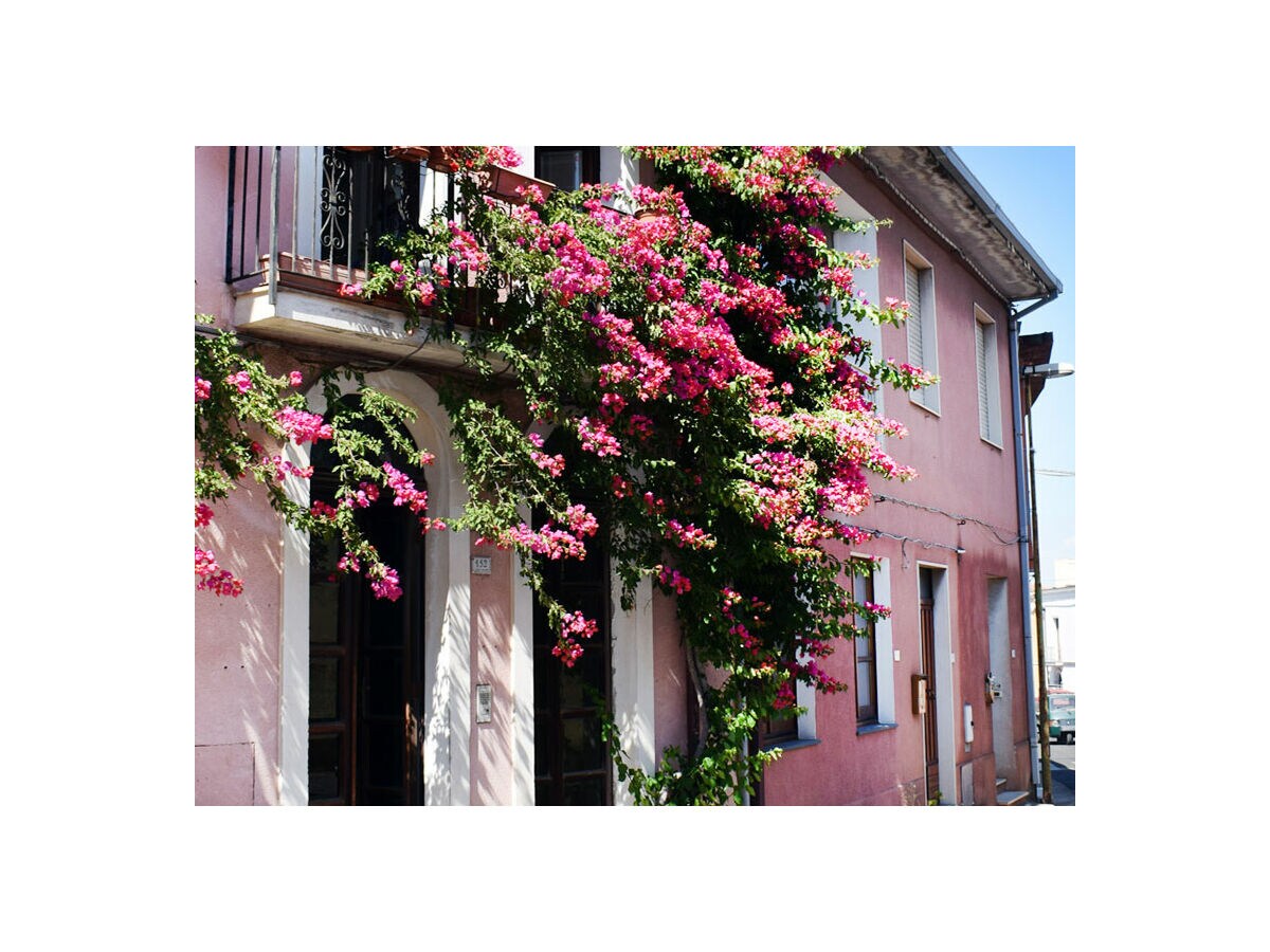 Holiday apartment Chiara - Outdoor photo 2