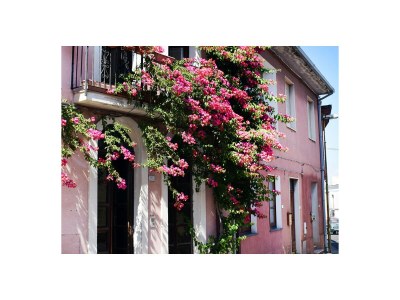 Holiday apartment Chiara - Outdoor photo 2