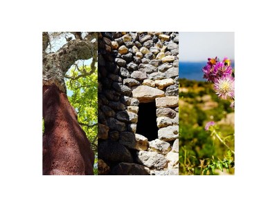 Holiday apartment Chiara - Environment photo 25