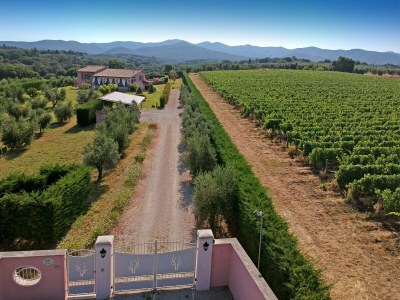 Holiday house Villa Casa Ulivino - Outdoor photo 6