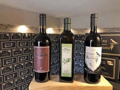 Holiday house Villa Casa Ulivino - Features photo 12