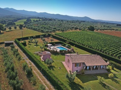 Holiday house Villa Casa Ulivino - Environment photo 15