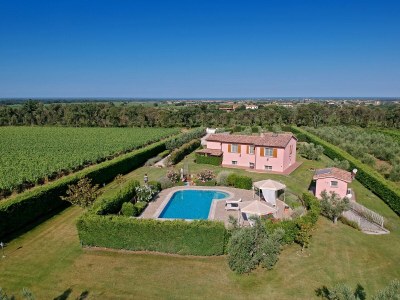 Holiday house Villa Casa Ulivino - Environment photo 16