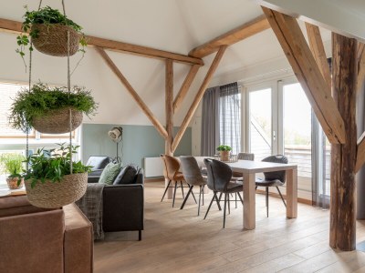 Apartment Hooivak in Hollum - Apartment