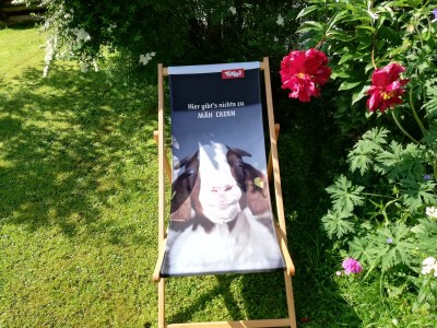 Holiday apartment Winzen Haus Zuhag - Outdoor photo 12