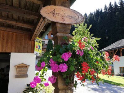 Holiday apartment Winzen Haus Zuhag - Outdoor photo 14