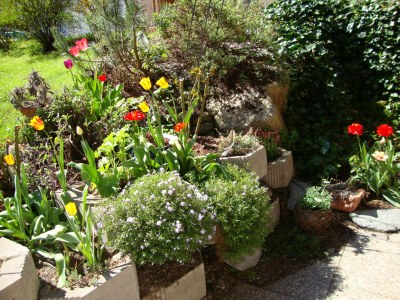 Holiday apartment Winzen Haus Zuhag - Outdoor photo 16