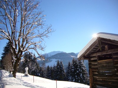 Holiday apartment Winzen Haus Zuhag - Environment photo 38