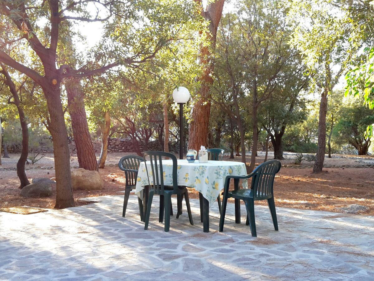 Holiday apartment Pine Paradise - Outdoor photo 5