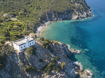 Holiday apartment Pine Paradise - Outdoor photo 2