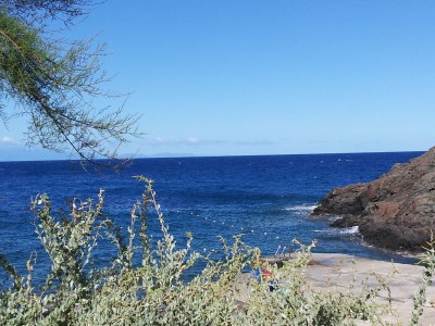 Holiday apartment Pine Paradise - Environment photo 10