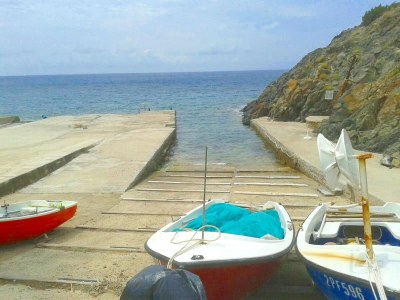 Holiday apartment Pine Paradise - Environment photo 12