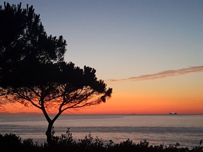 Holiday apartment Pine Paradise - Environment photo 13