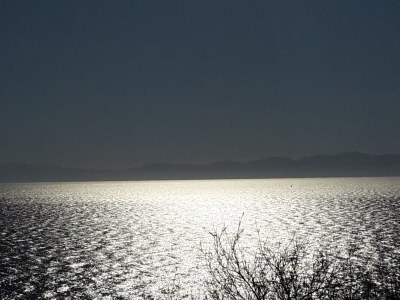 Holiday apartment Pine Paradise - Environment photo 15