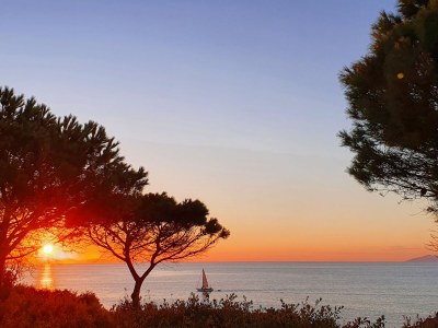 Holiday apartment Pine Paradise - Environment photo 16