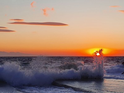 Holiday apartment Pine Paradise - Environment photo 18