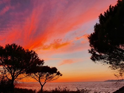 Holiday apartment Pine Paradise - Environment photo 19